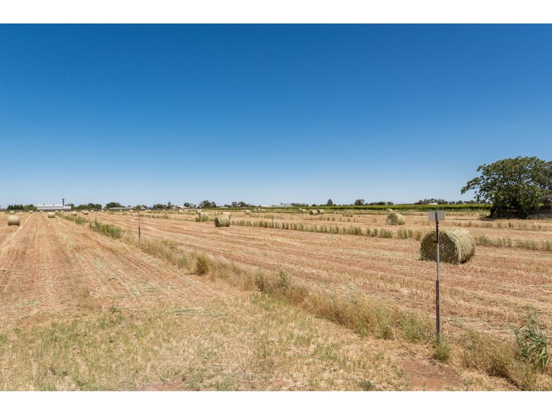 121 Belar Avenue, Irymple VIC 3498