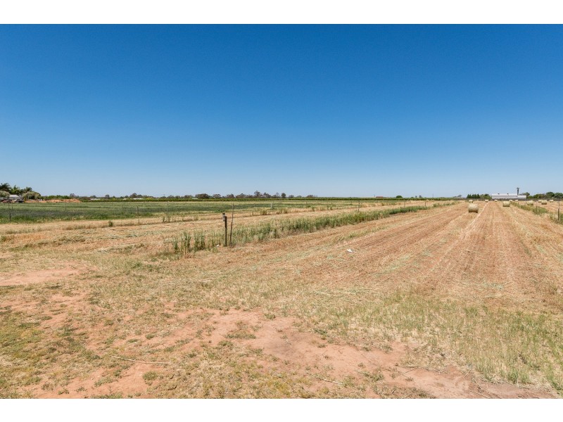 121 Belar Avenue, Irymple VIC 3498