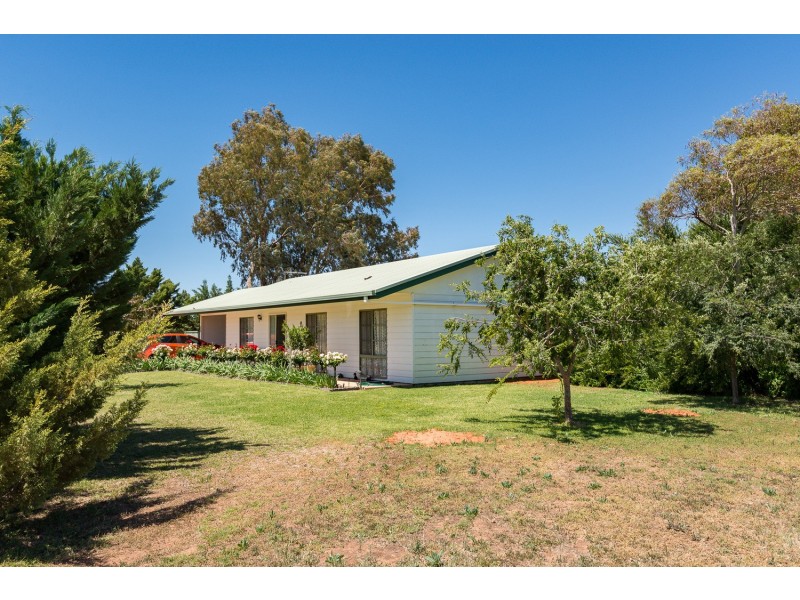 121 Belar Avenue, Irymple VIC 3498