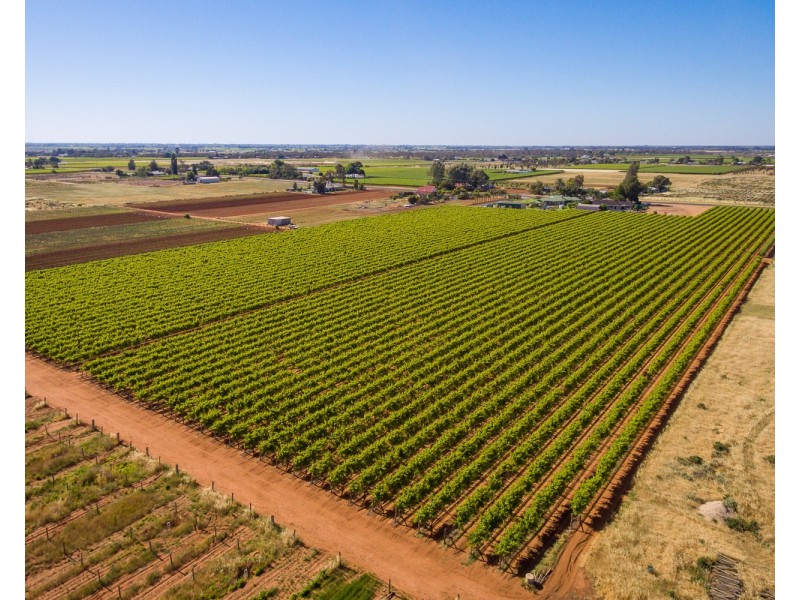 122 Mena Road, Birdwoodton VIC 3505