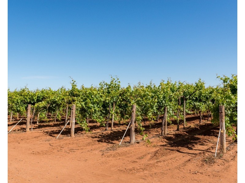 122 Mena Road, Birdwoodton VIC 3505