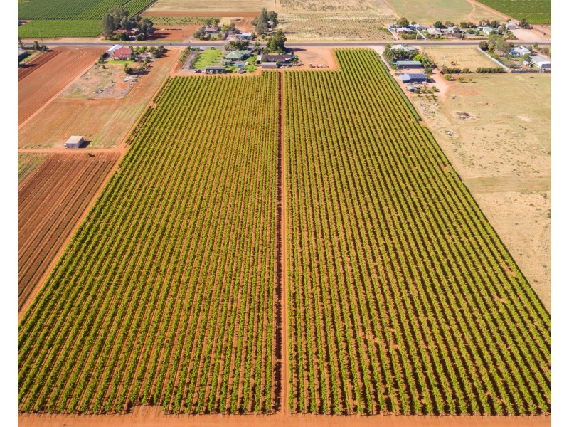 122 Mena Road, Birdwoodton VIC 3505