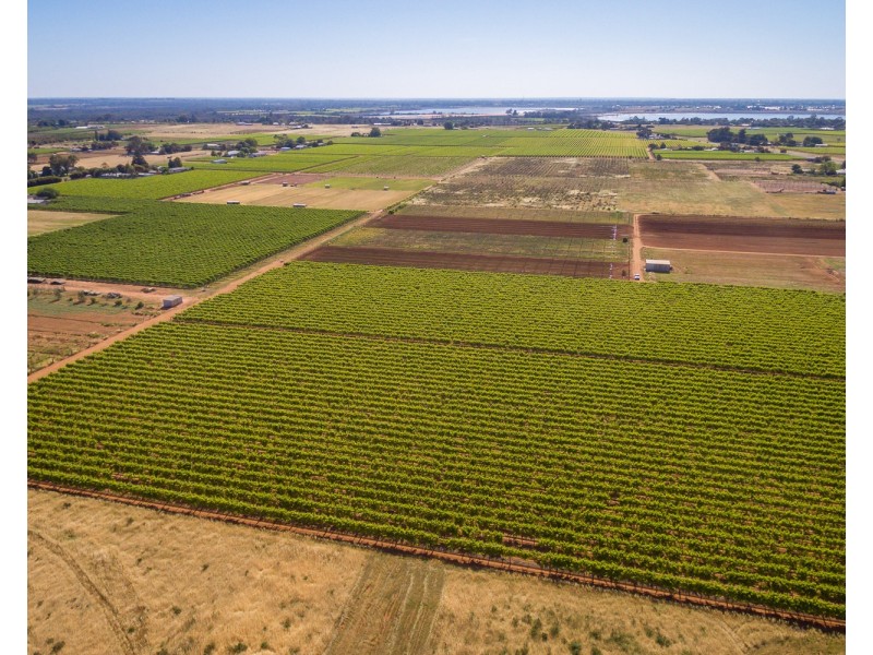 122 Mena Road, Birdwoodton VIC 3505