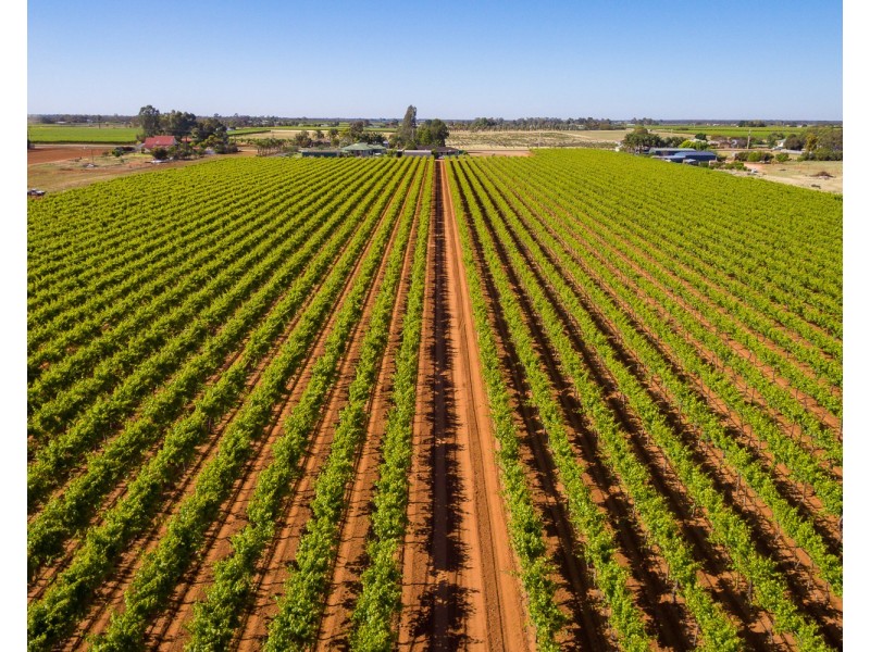 122 Mena Road, Birdwoodton VIC 3505