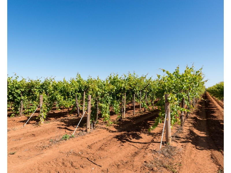 122 Mena Road, Birdwoodton VIC 3505