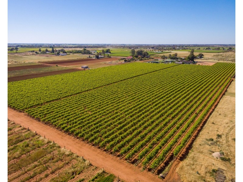 122 Mena Road, Birdwoodton VIC 3505