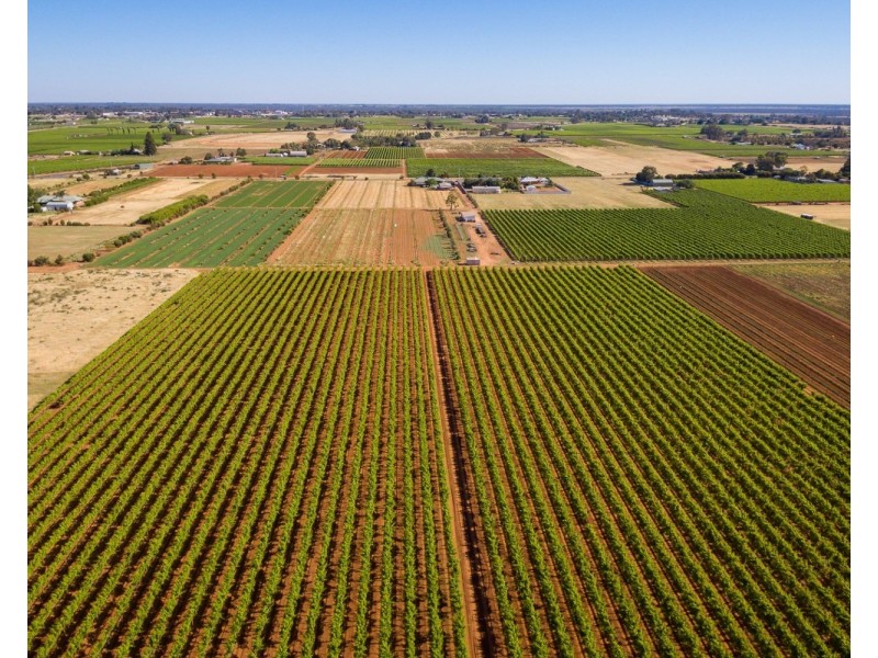 122 Mena Road, Birdwoodton VIC 3505