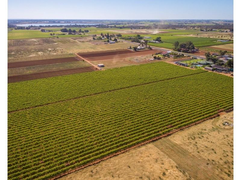 122 Mena Road, Birdwoodton VIC 3505