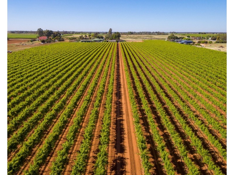 122 Mena Road, Birdwoodton VIC 3505