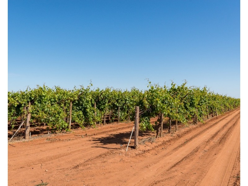 122 Mena Road, Birdwoodton VIC 3505