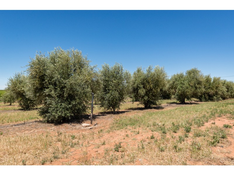 4 Tulloch Road, Red Cliffs VIC 3496