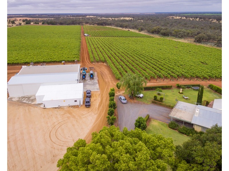 178 Arumpo Road, Buronga NSW 2739