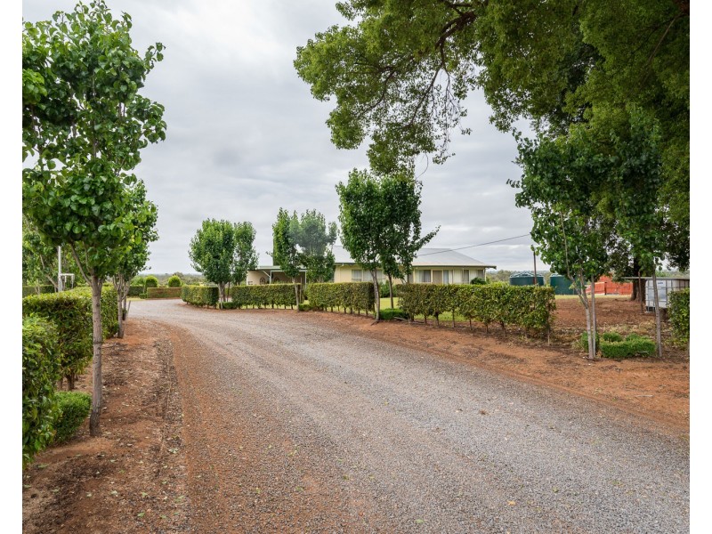178 Arumpo Road, Buronga NSW 2739