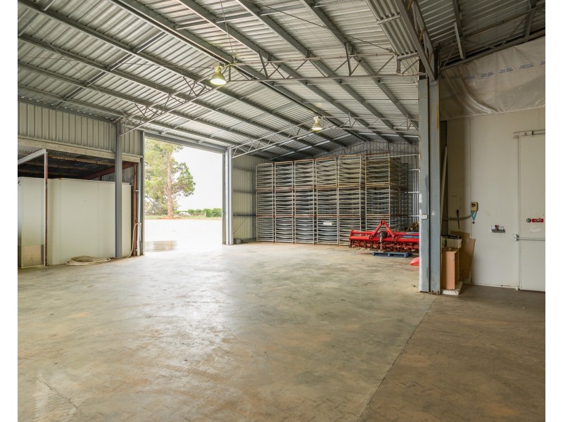 178 Arumpo Road, Buronga NSW 2739