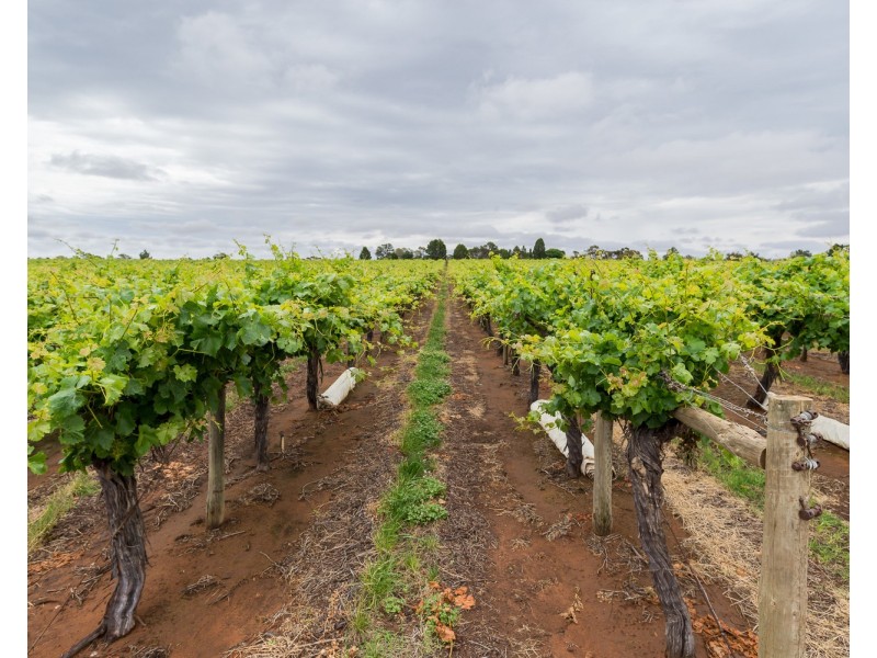 178 Arumpo Road, Buronga NSW 2739