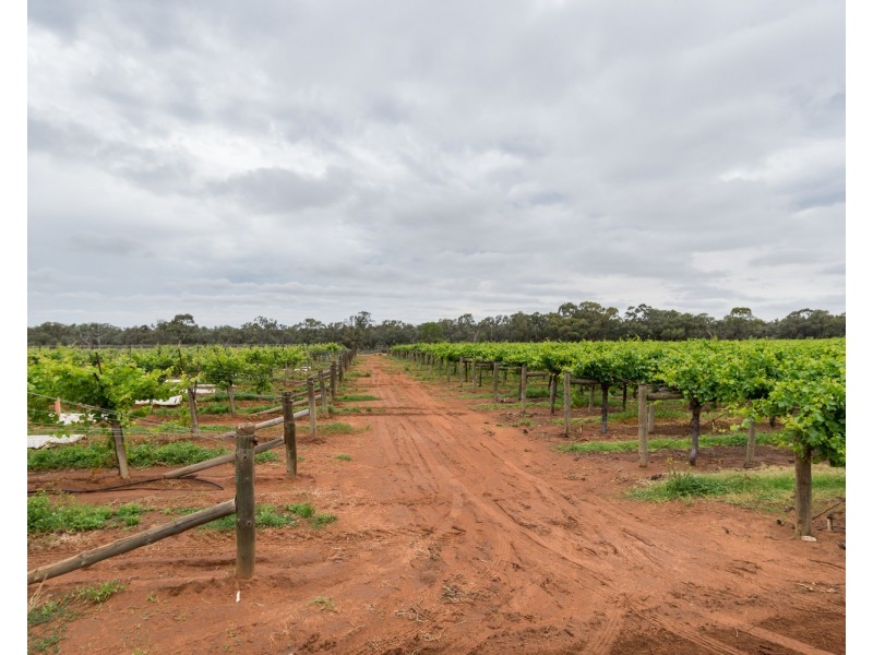 178 Arumpo Road, Buronga NSW 2739