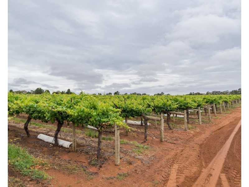 178 Arumpo Road, Buronga NSW 2739