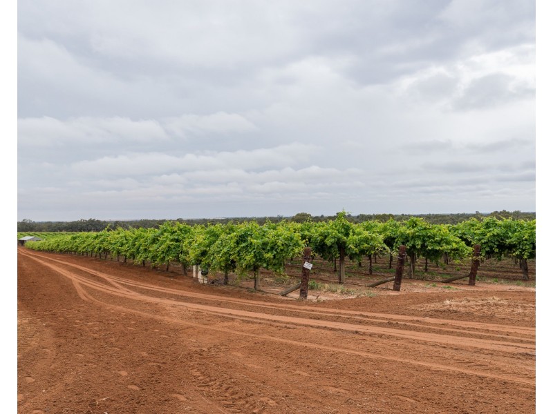 178 Arumpo Road, Buronga NSW 2739