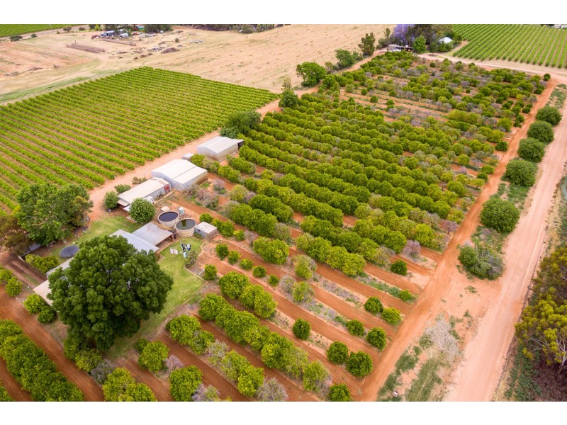 240 Coorong Avenue, Irymple VIC 3498