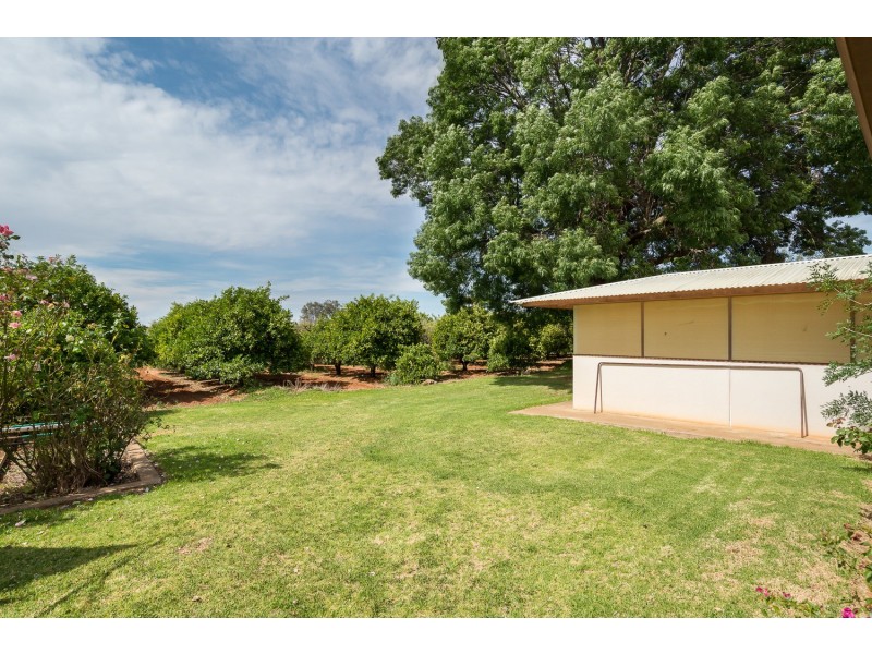 240 Coorong Avenue, Irymple VIC 3498