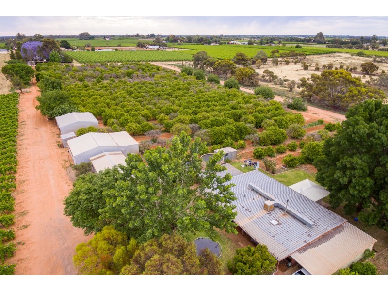 240 Coorong Avenue, Irymple VIC 3498