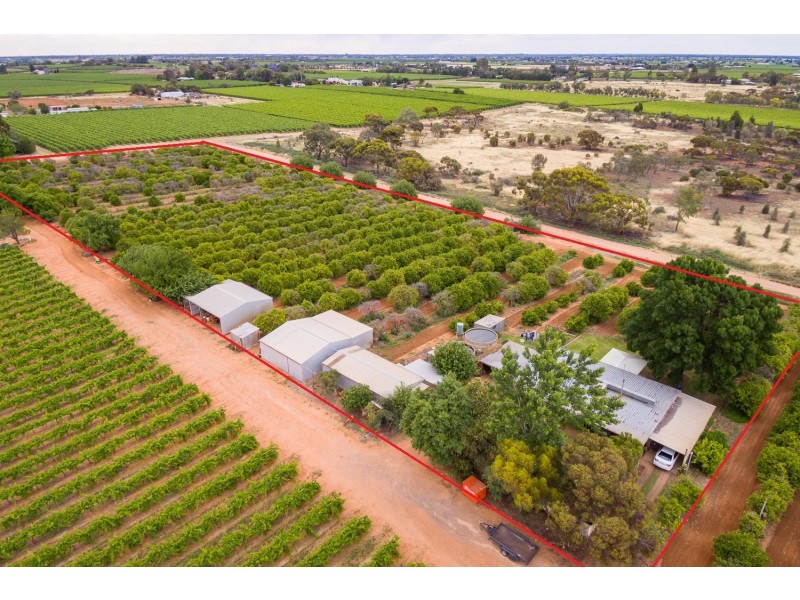 240 Coorong Avenue, Irymple VIC 3498