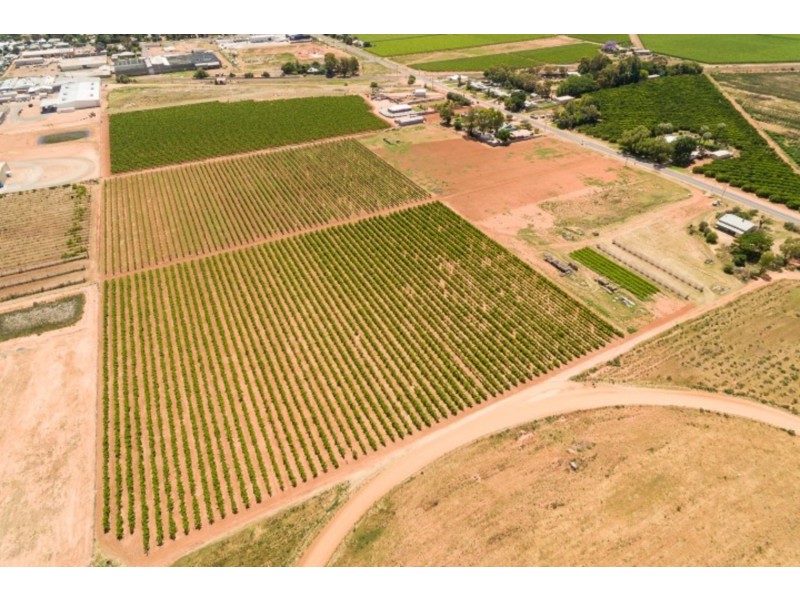 905 – 923 Irymple Avenue, Irymple VIC 3498