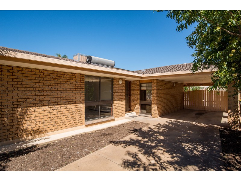 19 Coleman Avenue, Mildura VIC 3500