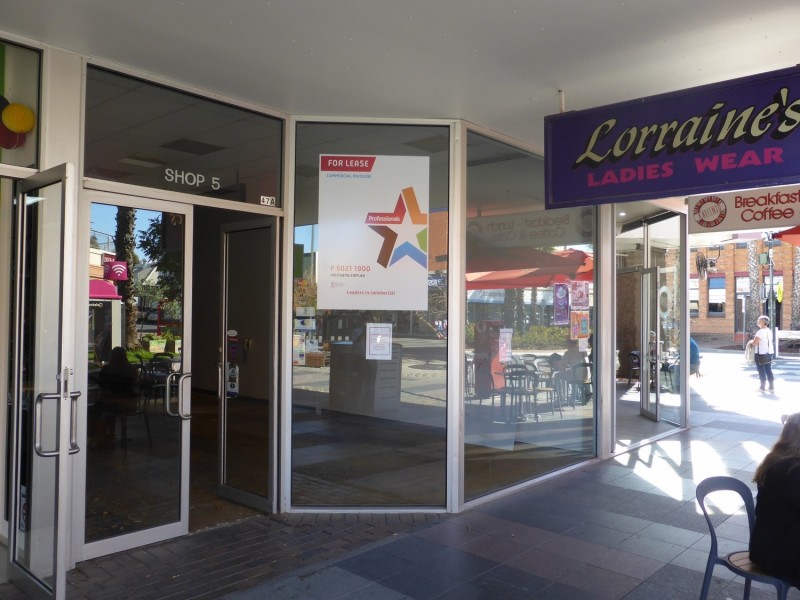 47a Langtree Avenue, Mildura VIC 3500