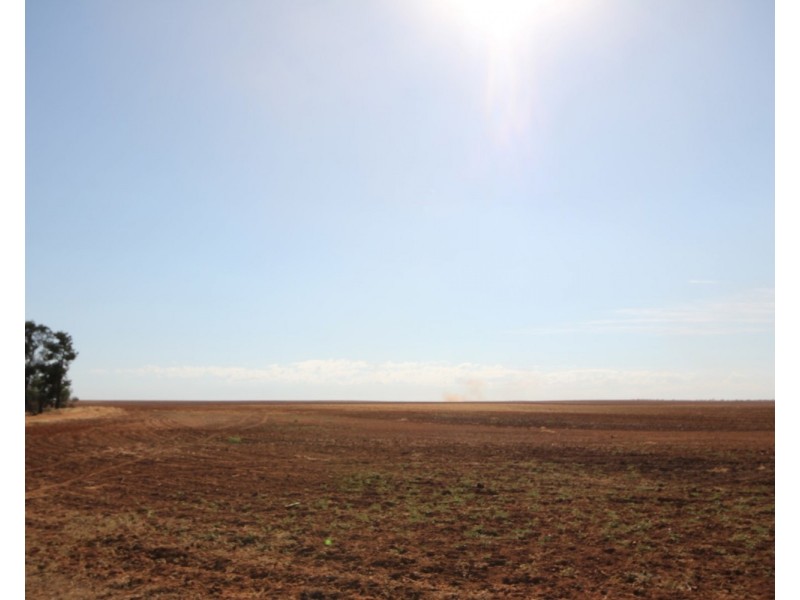 3245 & 2423 Petro Mail Road, Arumpo NSW 2715