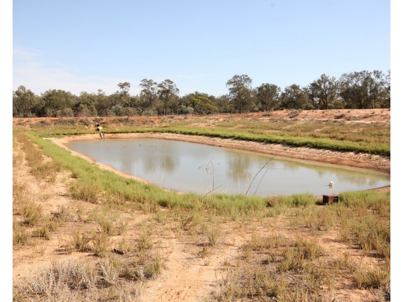 3245 & 2423 Petro Mail Road, Arumpo NSW 2715