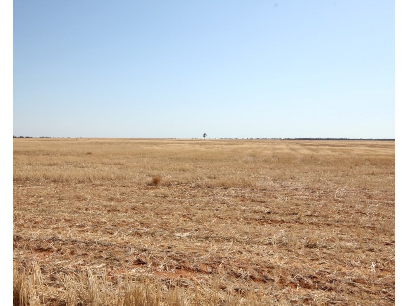 3245 & 2423 Petro Mail Road, Arumpo NSW 2715