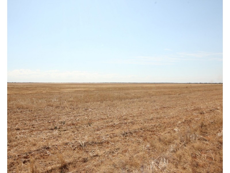 3245 & 2423 Petro Mail Road, Arumpo NSW 2715