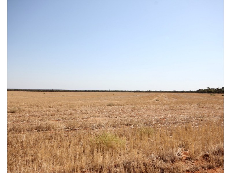 3245 & 2423 Petro Mail Road, Arumpo NSW 2715