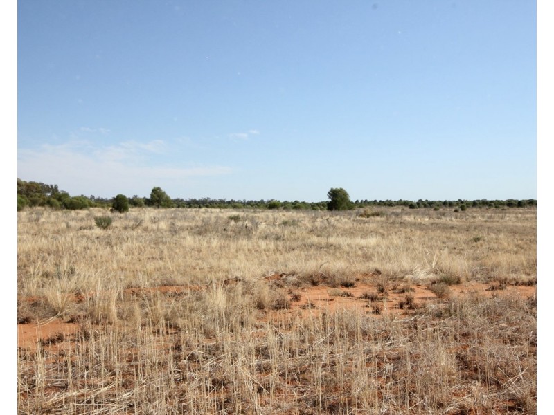 3245 & 2423 Petro Mail Road, Arumpo NSW 2715