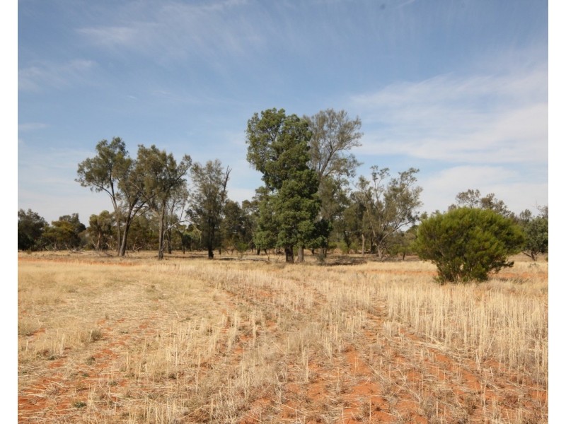 3245 & 2423 Petro Mail Road, Arumpo NSW 2715