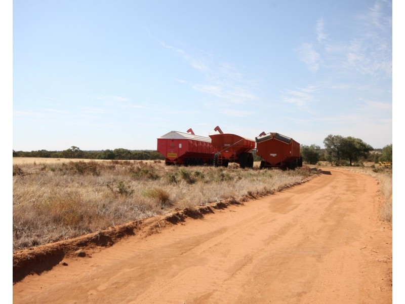 3245 & 2423 Petro Mail Road, Arumpo NSW 2715