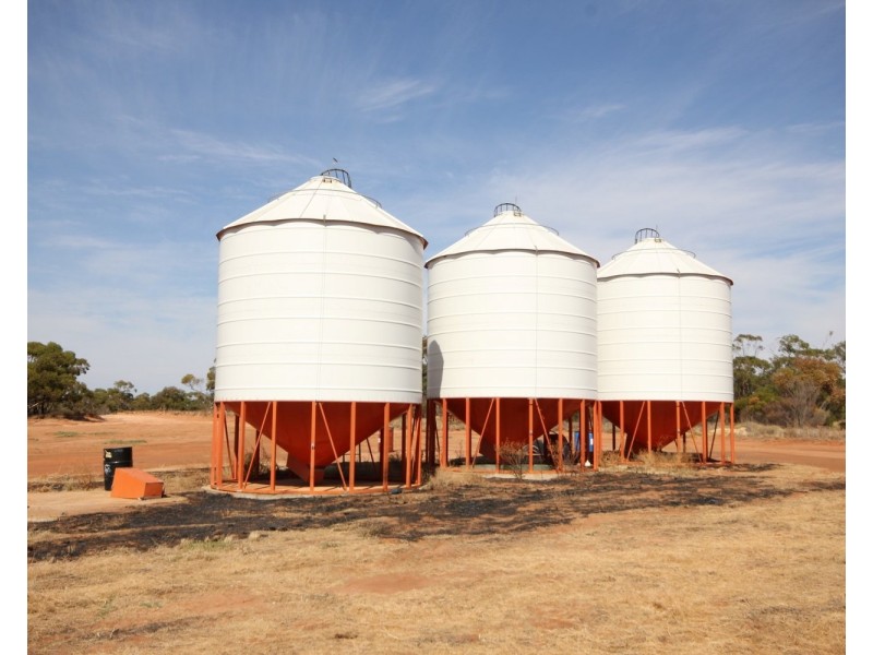 3245 & 2423 Petro Mail Road, Arumpo NSW 2715