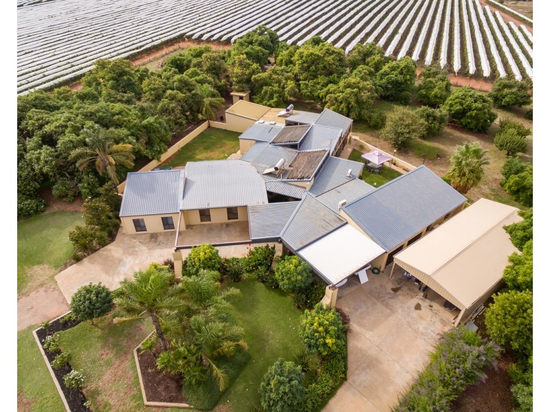 128 Cowra Avenue, Irymple VIC 3498