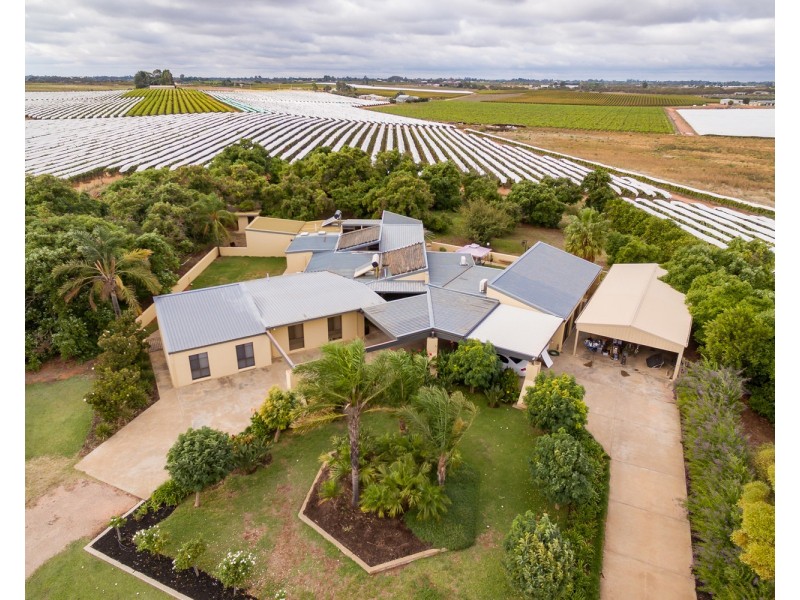 128 Cowra Avenue, Irymple VIC 3498