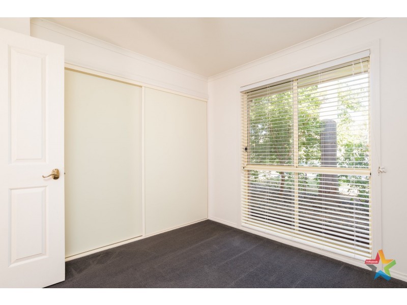 6 Tyers Court, Merbein VIC 3505