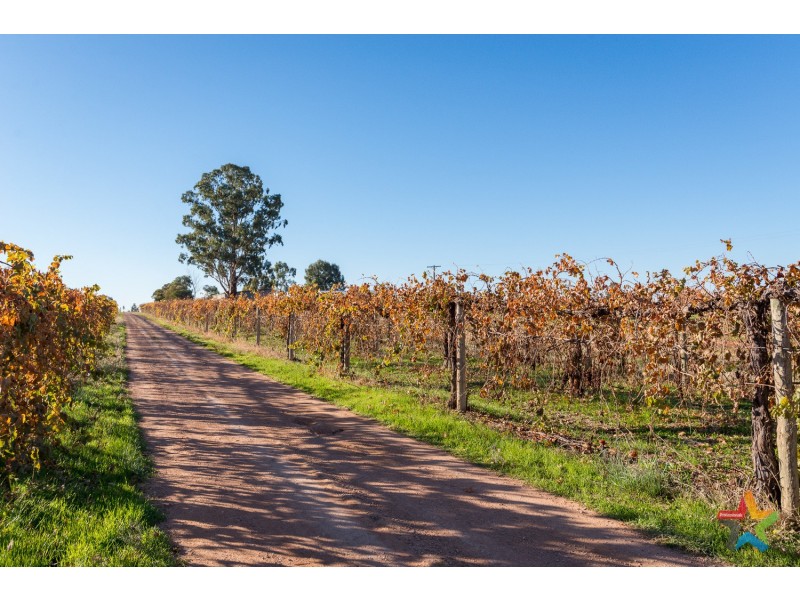 85 Cassia Street, Red Cliffs VIC 3496