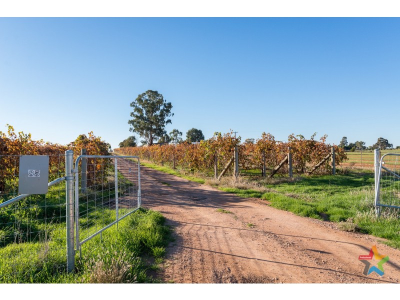 85 Cassia Street, Red Cliffs VIC 3496