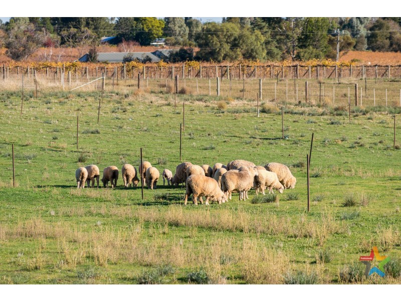 85 Cassia Street, Red Cliffs VIC 3496