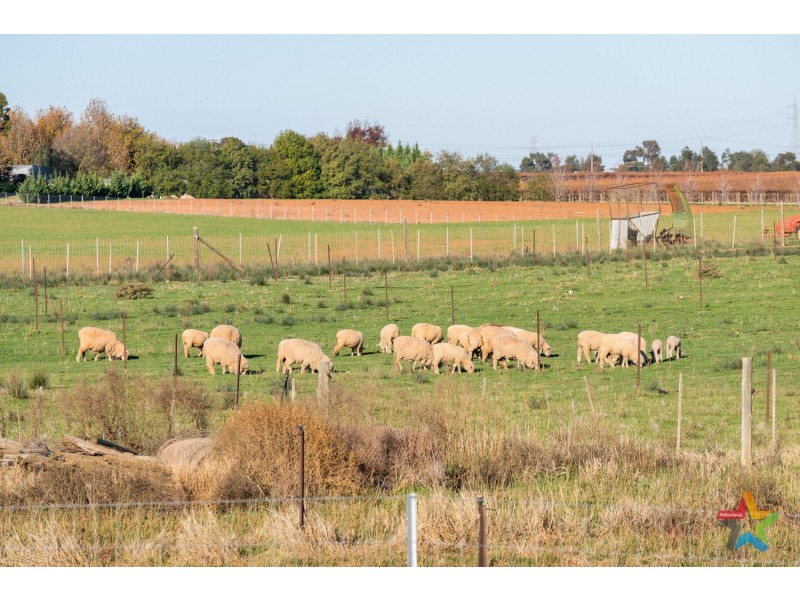 85 Cassia Street, Red Cliffs VIC 3496