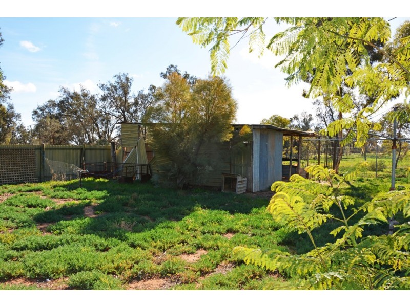 8000 Millewa Road, Meringur VIC 3496