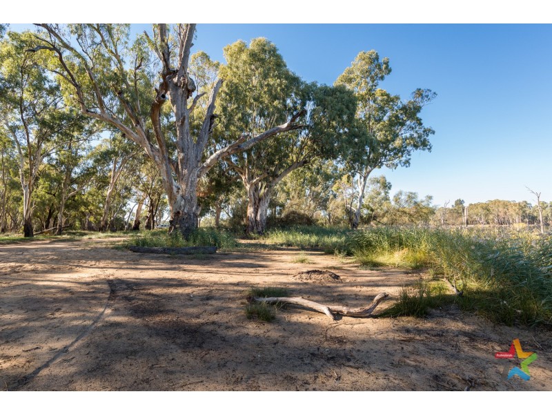 Lot Lot, 55 The Cobb & Co Way, Gol Gol NSW 2738