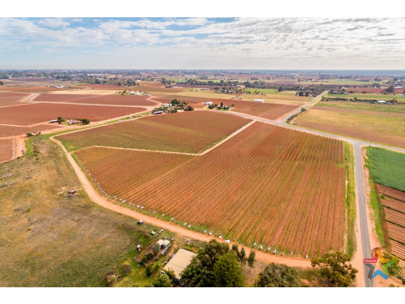 220 Stewart Road, Red Cliffs VIC 3496