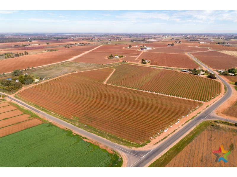 220 Stewart Road, Red Cliffs VIC 3496