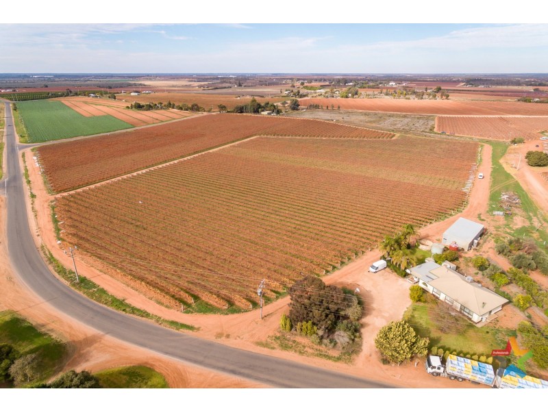 220 Stewart Road, Red Cliffs VIC 3496